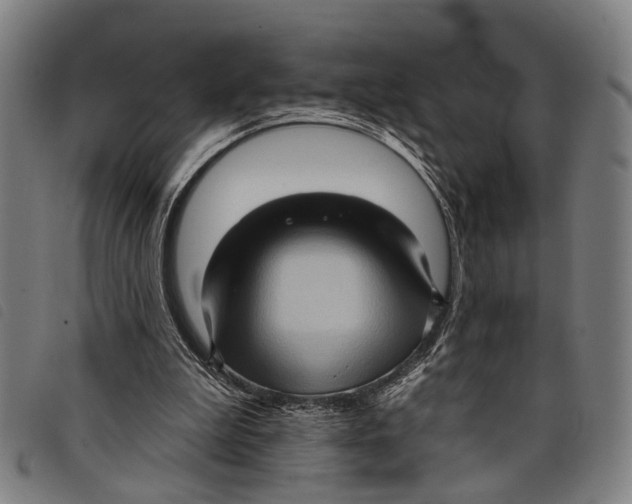 X0000097850199200804041514