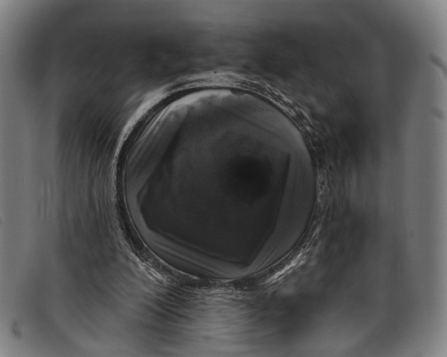 X0000097850200200804041514