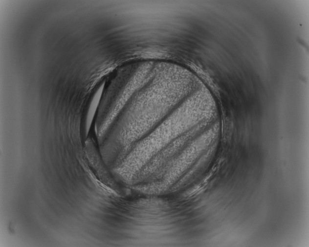 X0000097850201200804041514