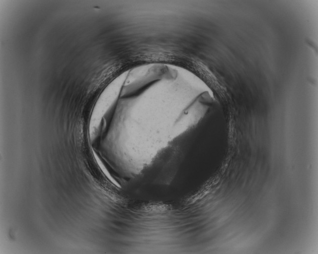 X0000097850202200804041514