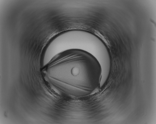 X0000097850203200804041514