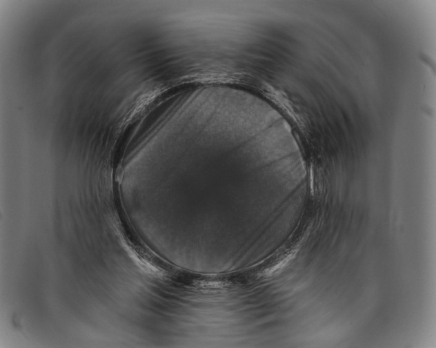 X0000097850205200804041514