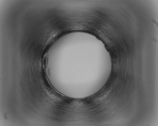 X0000097850207200804041514