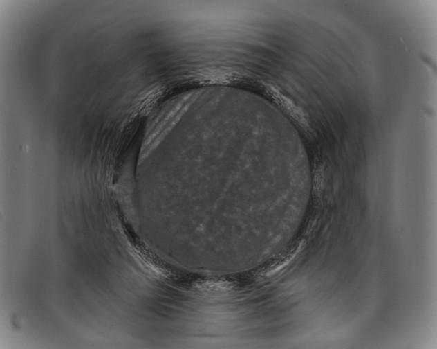 X0000097850209200804041514