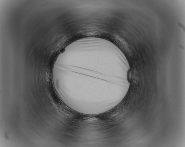 X0000097850210200804041514