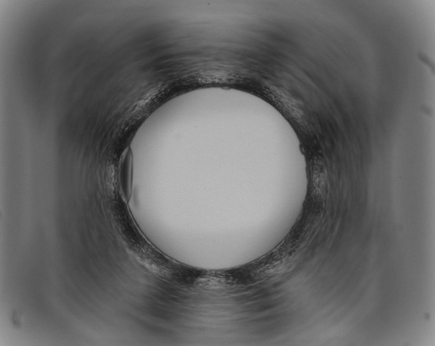 X0000097850211200804041514