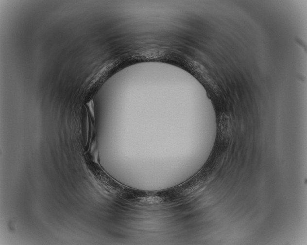 X0000097850212200804041514