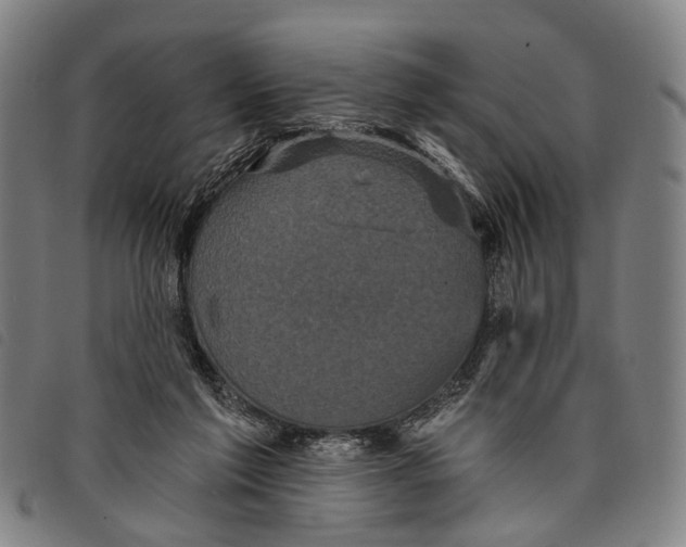 X0000097850213200804041514