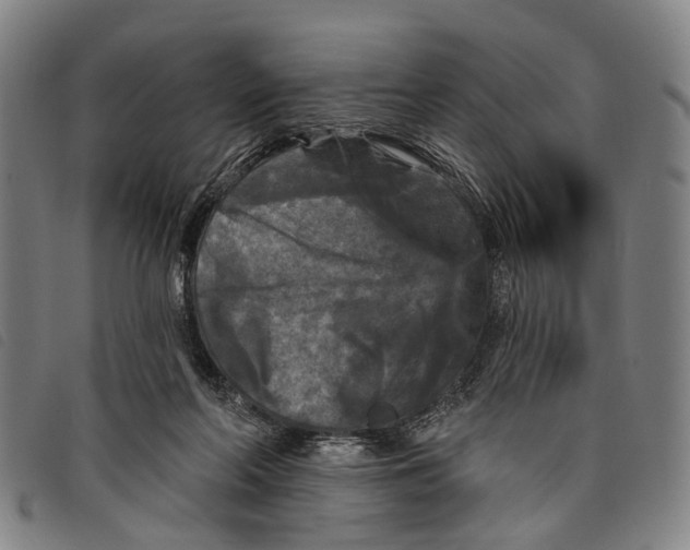 X0000097850214200804041514