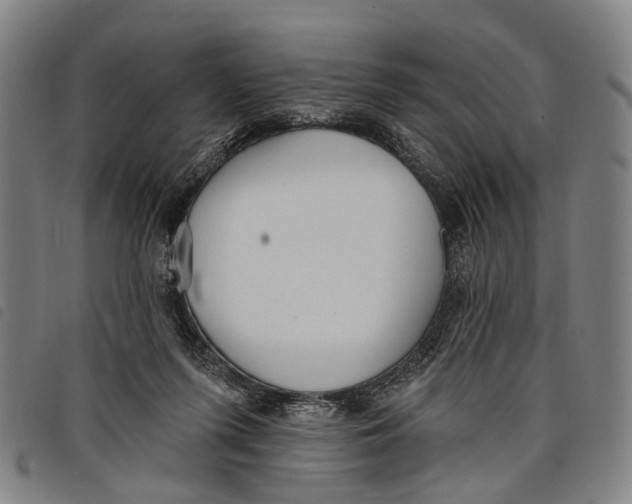 X0000097850215200804041514