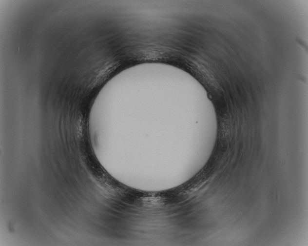 X0000097850216200804041514