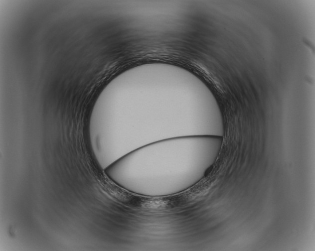 X0000097850217200804041514