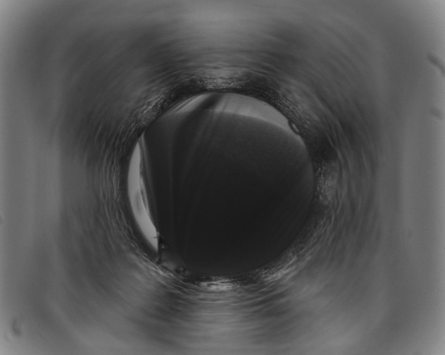 X0000097850219200804041514