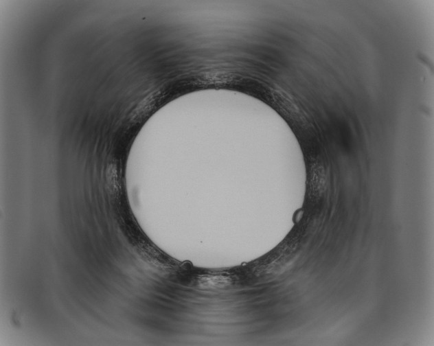 X0000097850220200804041514