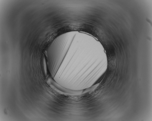 X0000097850221200804041514