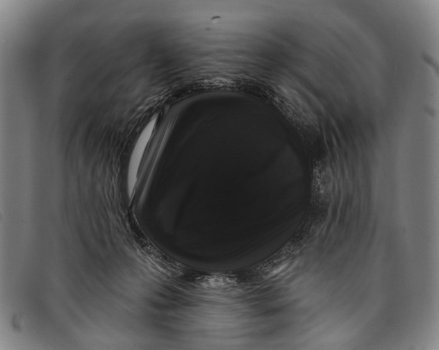 X0000097850223200804041514