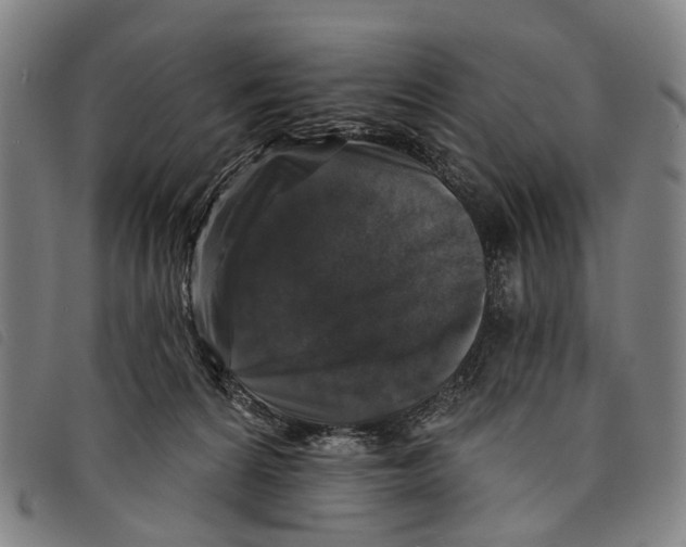 X0000097850224200804041514