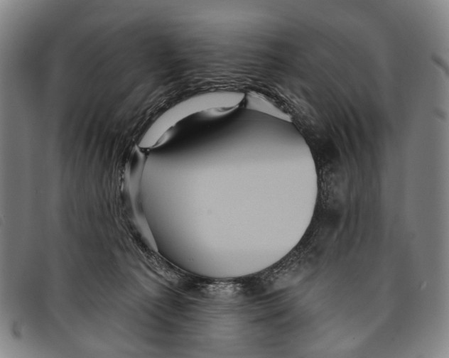 X0000097850225200804041514