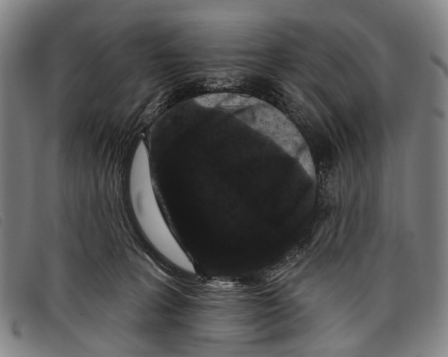 X0000097850227200804041514