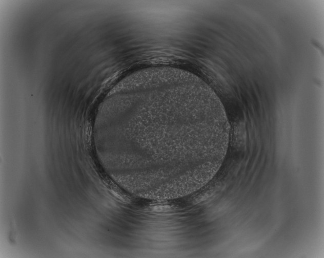 X0000097850228200804041514