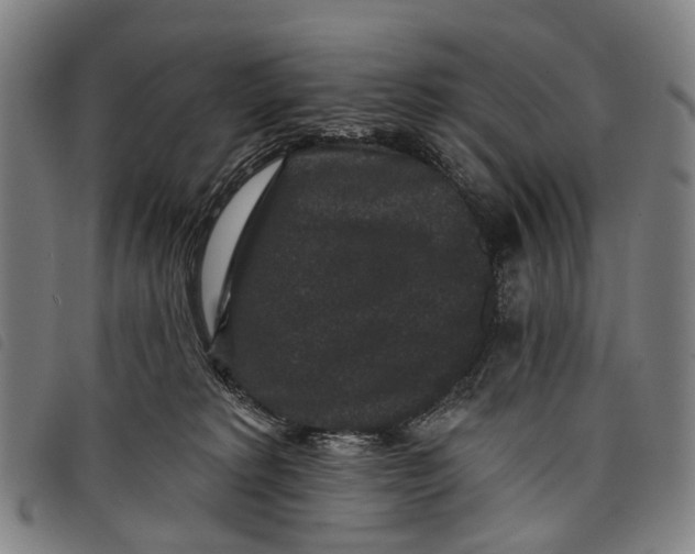 X0000097850229200804041514