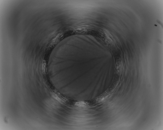 X0000097850231200804041513