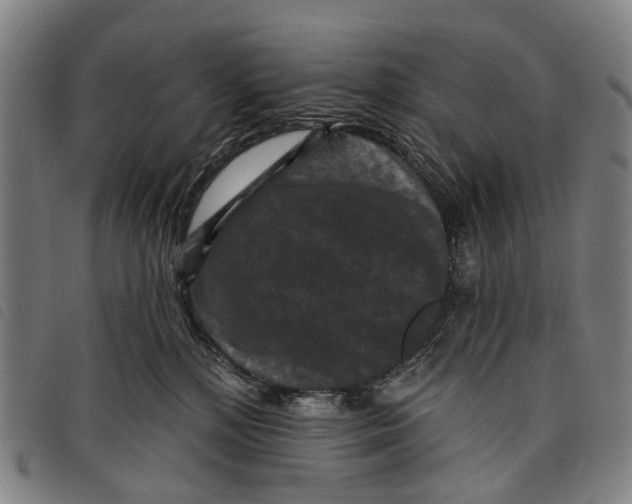 X0000097850232200804041513