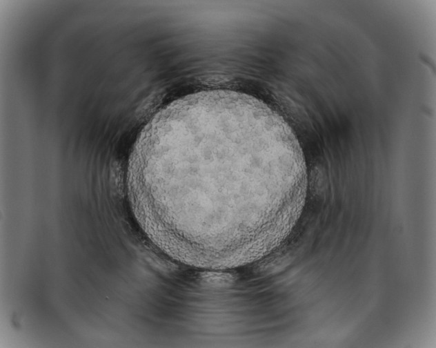 X0000097850234200804041513