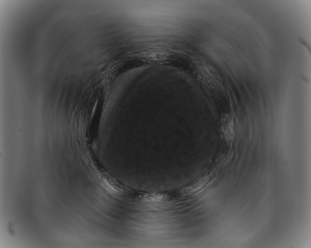 X0000097850235200804041513