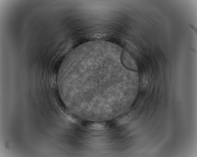 X0000097850236200804041513