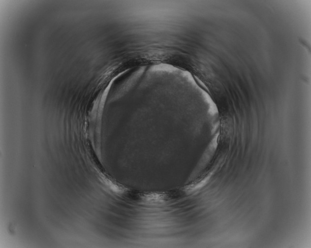 X0000097850237200804041513