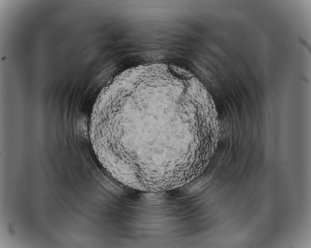 X0000097850238200804041513