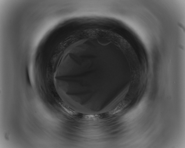 X0000097850239200804041513