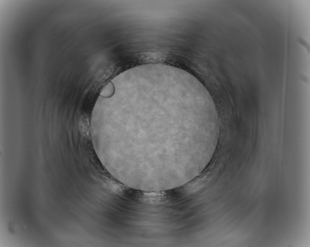 X0000097850240200804041513