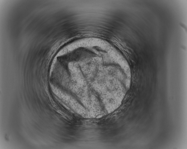 X0000097850241200804041513