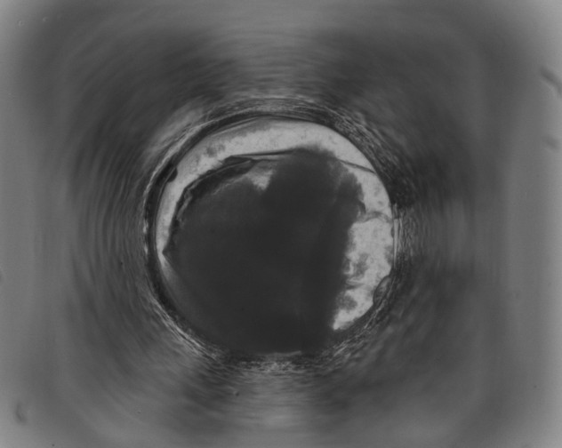 X0000097850243200804041513