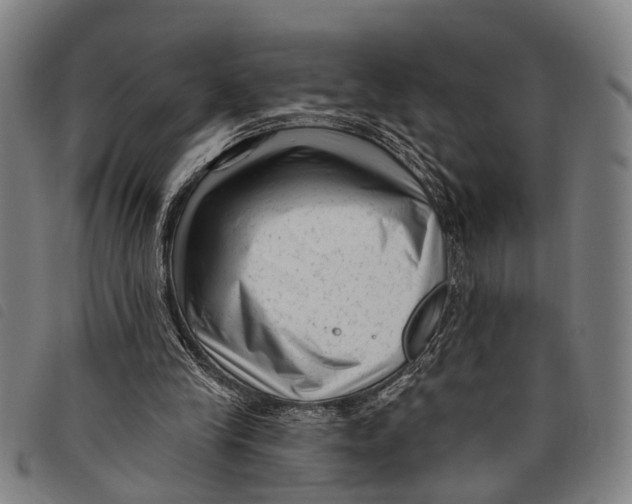 X0000097850245200804041513