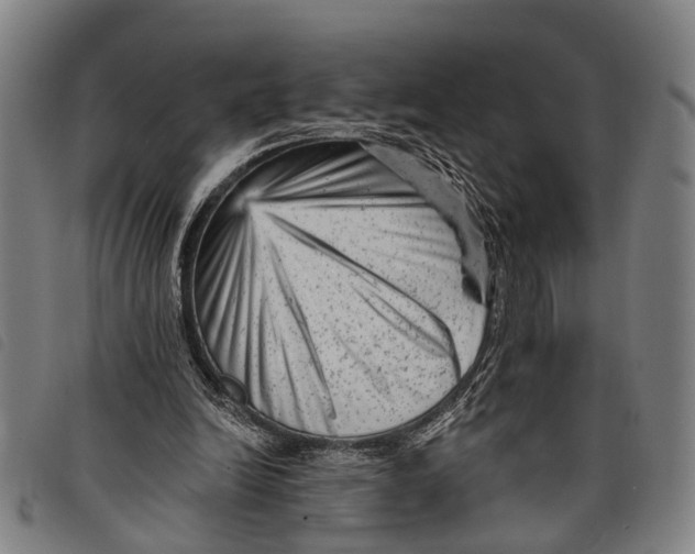 X0000097850246200804041513