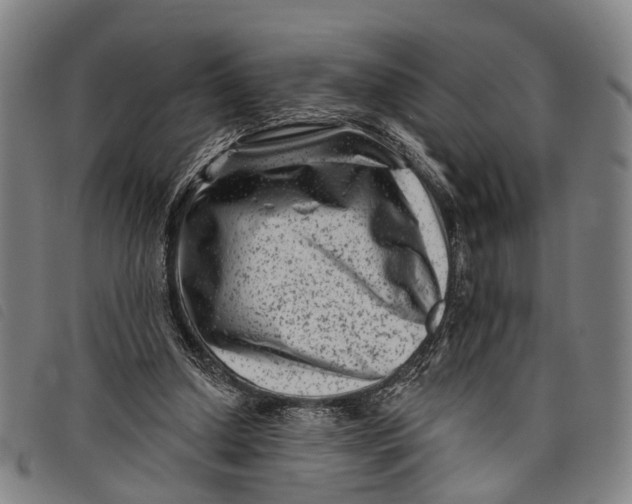 X0000097850250200804041513