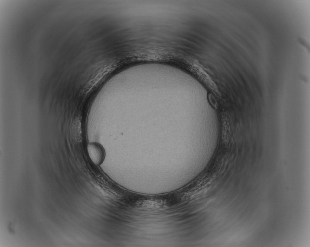 X0000097850251200804041513