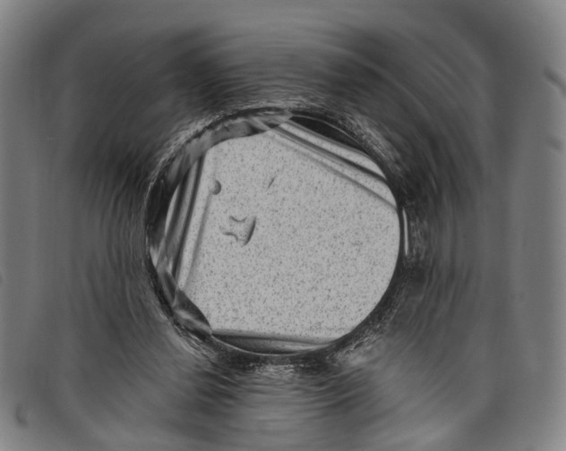 X0000097850252200804041513