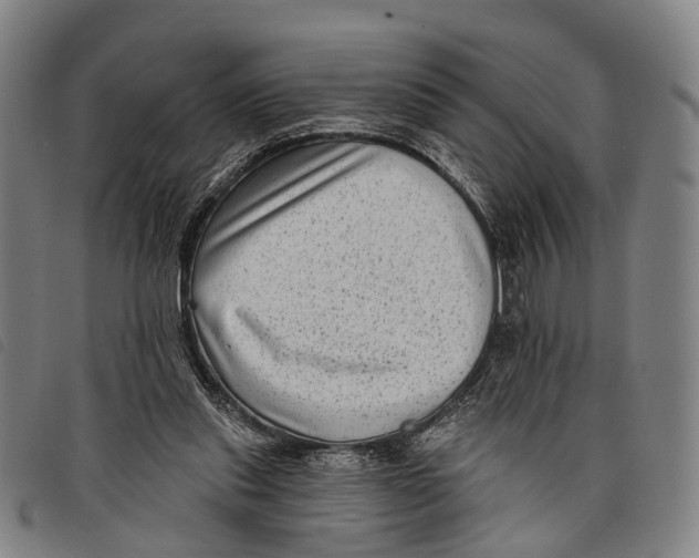 X0000097850253200804041513