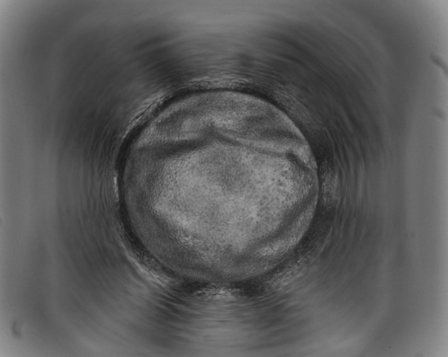 X0000097850254200804041513