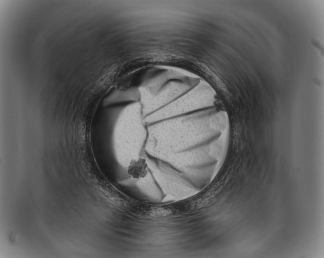 X0000097850257200804041513