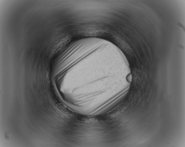 X0000097850258200804041513