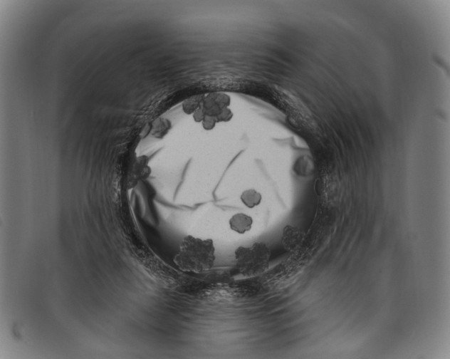 X0000097850259200804041513