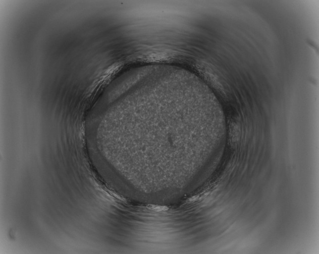 X0000097850260200804041513