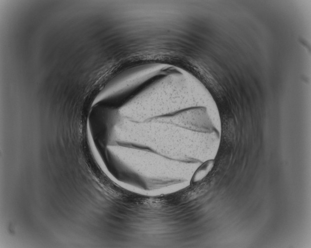 X0000097850261200804041513