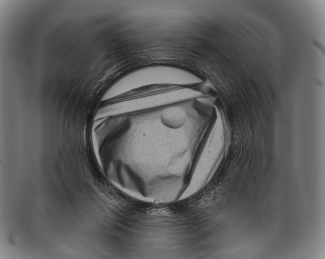 X0000097850262200804041513