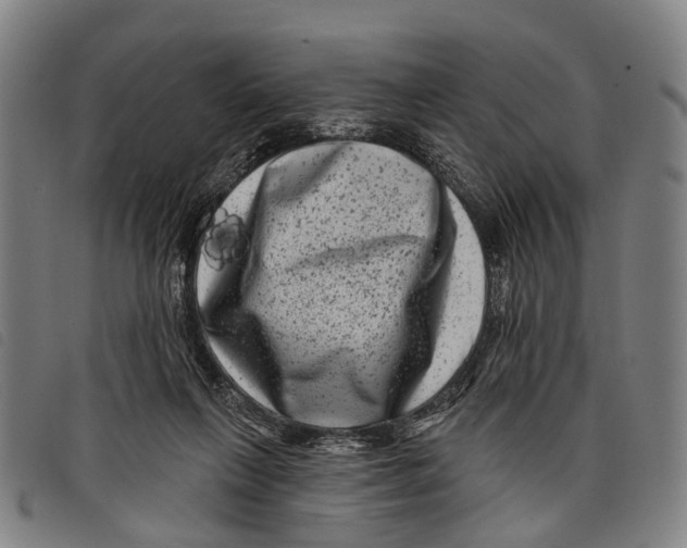 X0000097850263200804041513